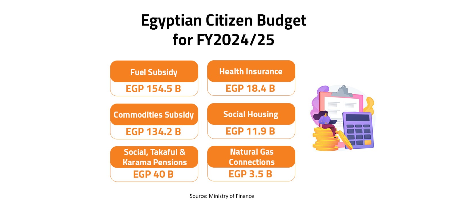 Egyptian Citizen Budget for FY 2024-25